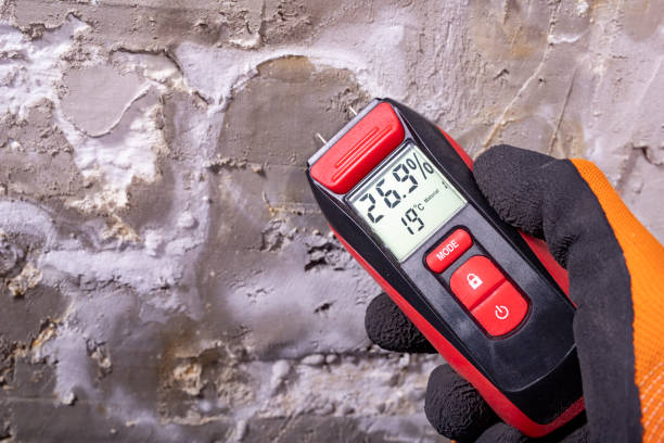 Professional Mold Removal in Rossford, OH