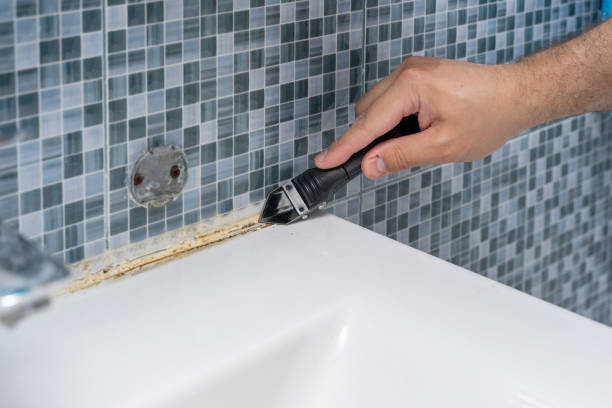Best Toxic Mold Removal  in Rossford, OH